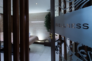 Wellness
